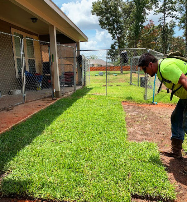 Sod Installation