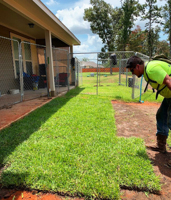 Sod Installation