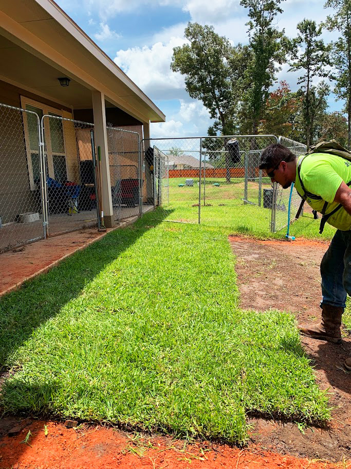 Sod Installation