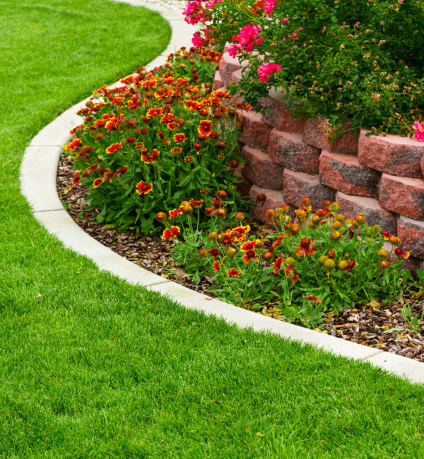 Garden Bed Installation