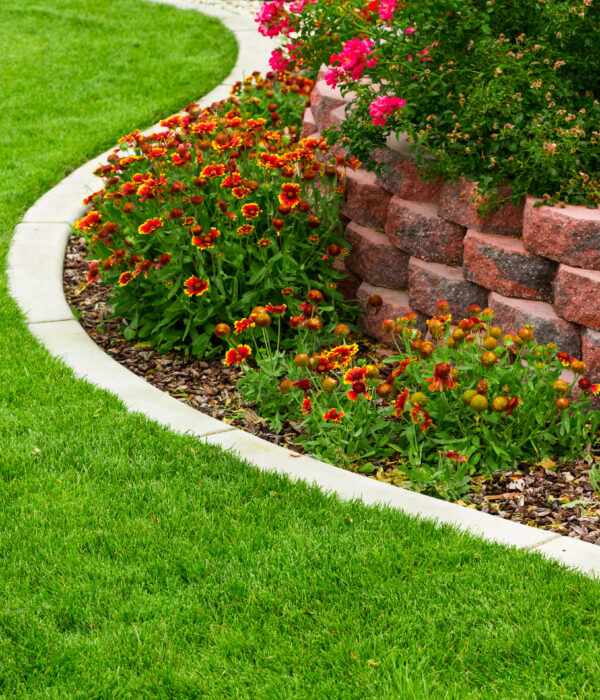 Garden Bed Installation