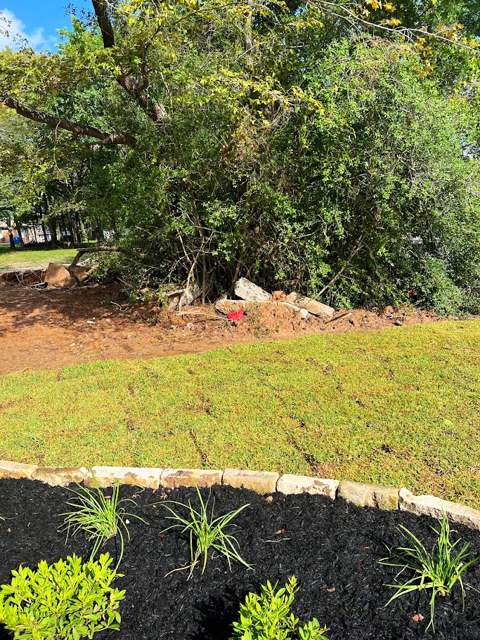 Tree Removal & Stump Grinding