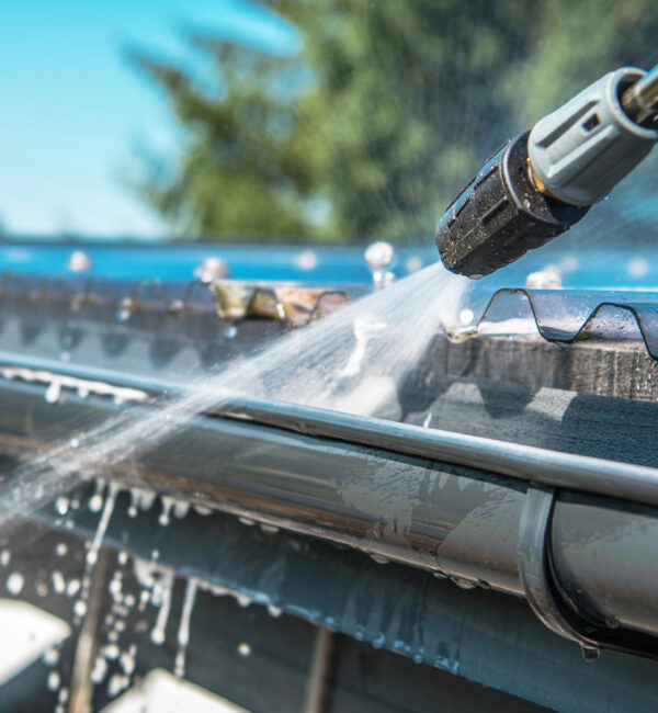 Gutter Cleaning