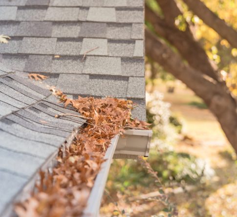 Depositphotos_320819900_XL