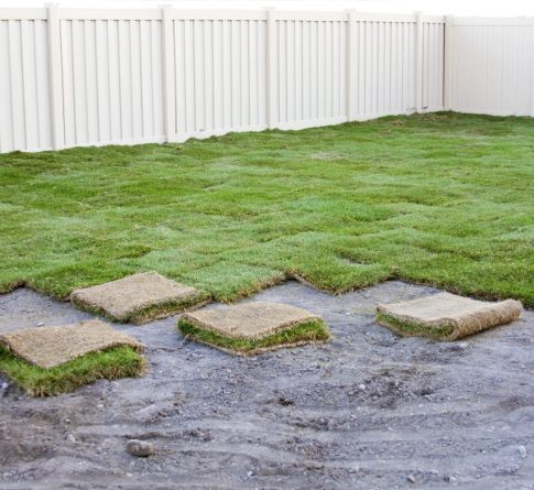 Depositphotos_41364265_XL