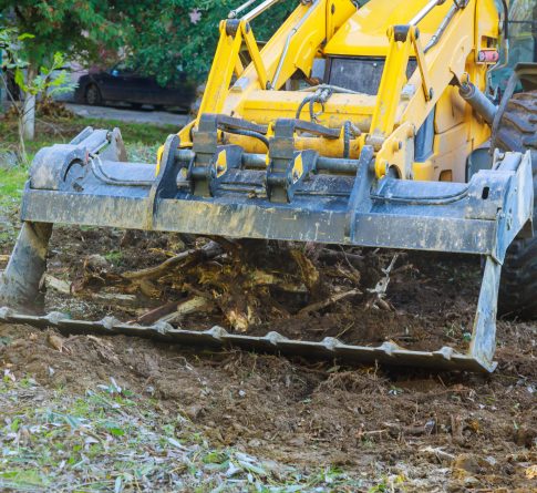 Utility workers municipal utilities clean up the remove tree branches a cleaning