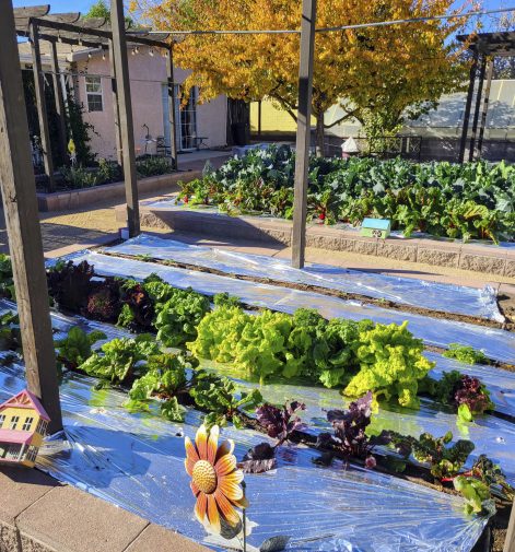 Depositphotos_785395098_XL